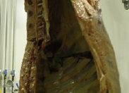 StimTech provides services like- pH decline in queensland