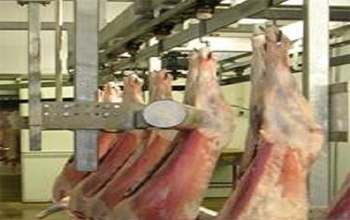 StimTech provides high quality Electrical Stimulators for Meat Processing based on your requirements in Queensland.